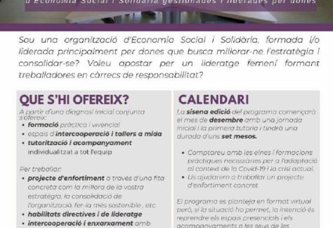 El camí a la solidesa: programa de BCNActiva per organitzacions de l’ESS formades principalment per dones